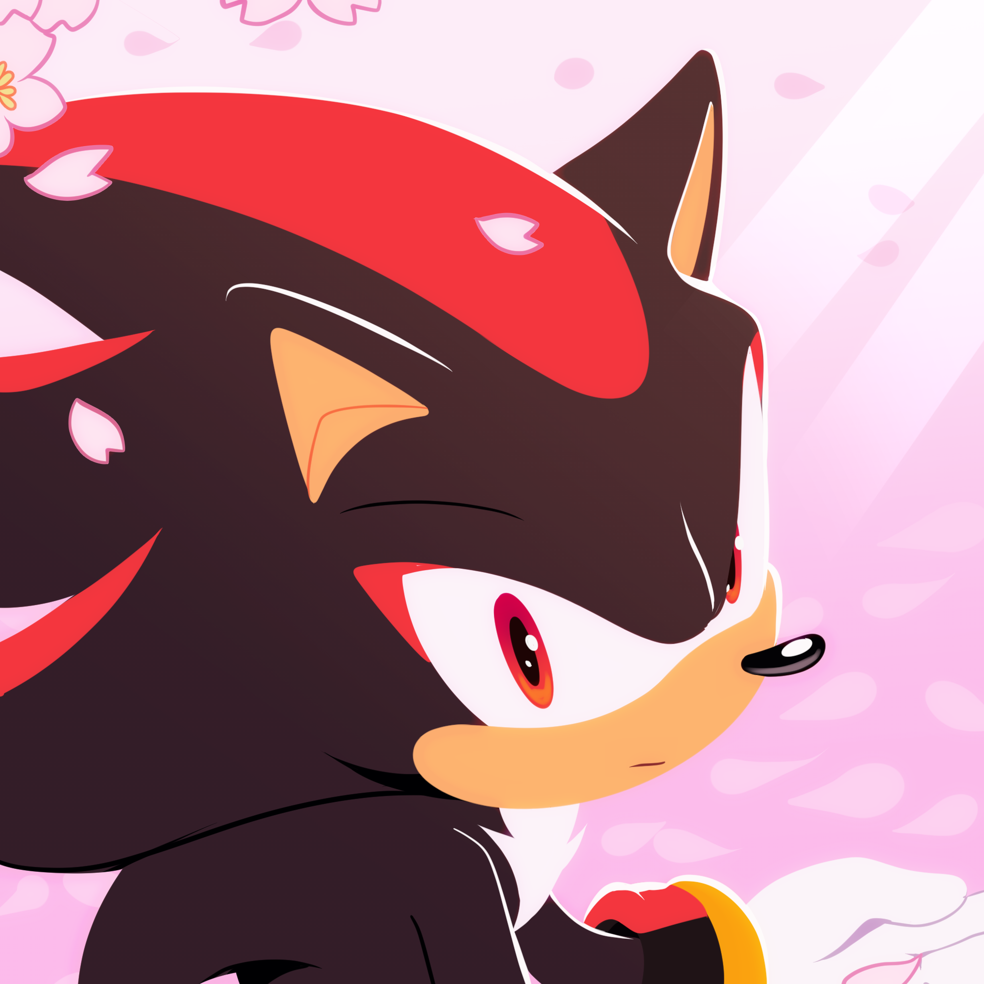 shiiyou