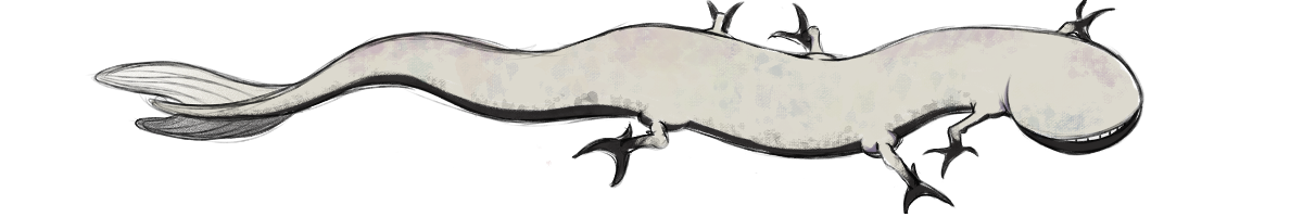 shopAvatar