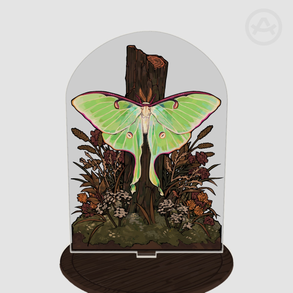 Lunar Moth