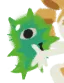NAEGLERIA