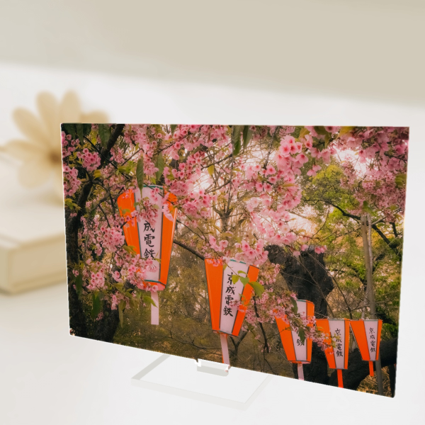 Sakura Japanese Full Bleed Acrylic Standees