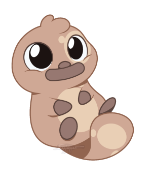 Imaplatypus
