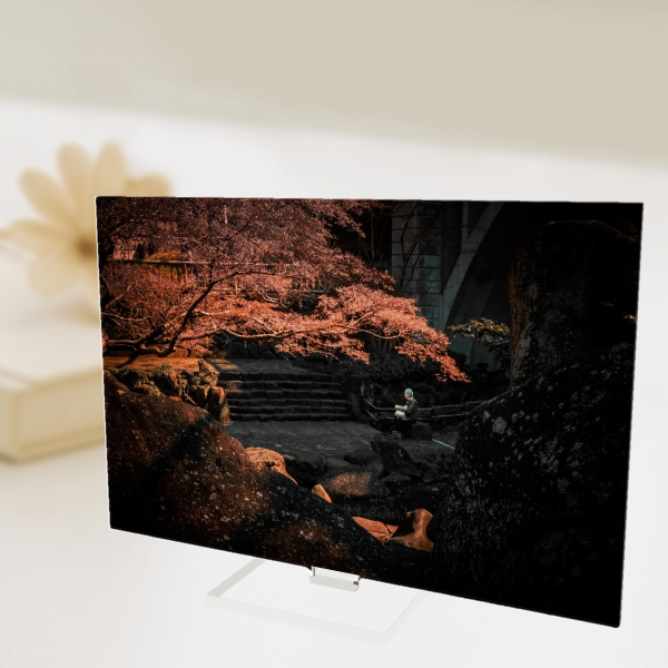 Under the Red Tree Photography Full Bleed Acrylic Standees