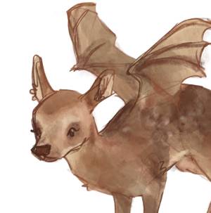 Roo