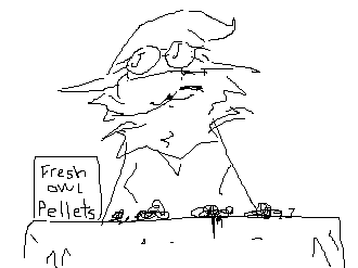 echolessowl