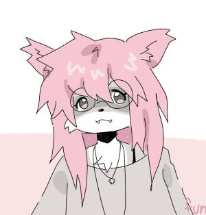 funny hat12