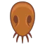 Rotflea