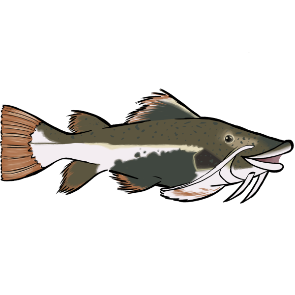 Da Feesh (Sticker)