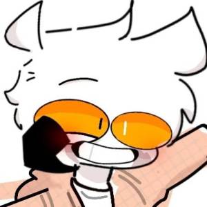 Felix 15
