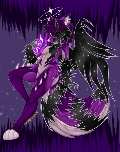 Nova