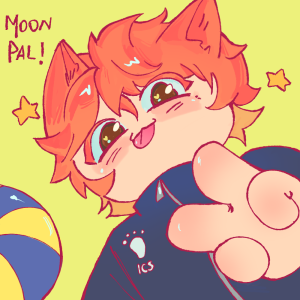 Moon Pal