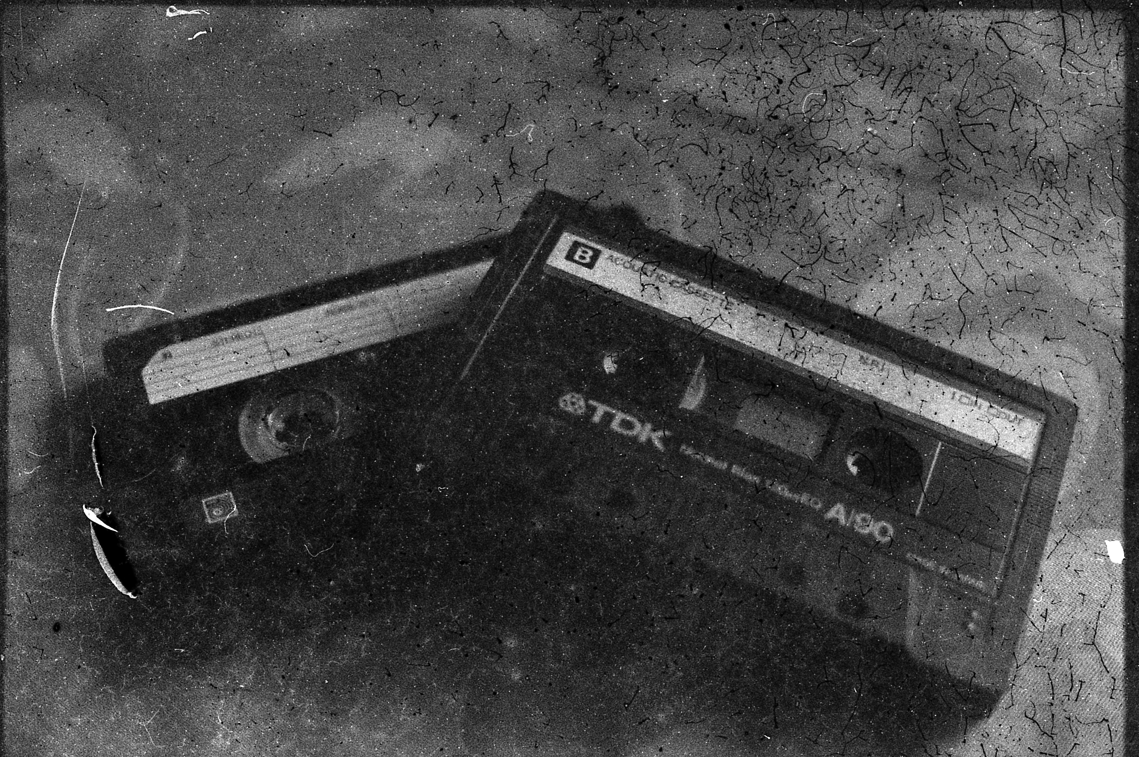 Marcy's analogue World -Sit back, kick back, enjoy the show!