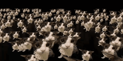 shopAvatar