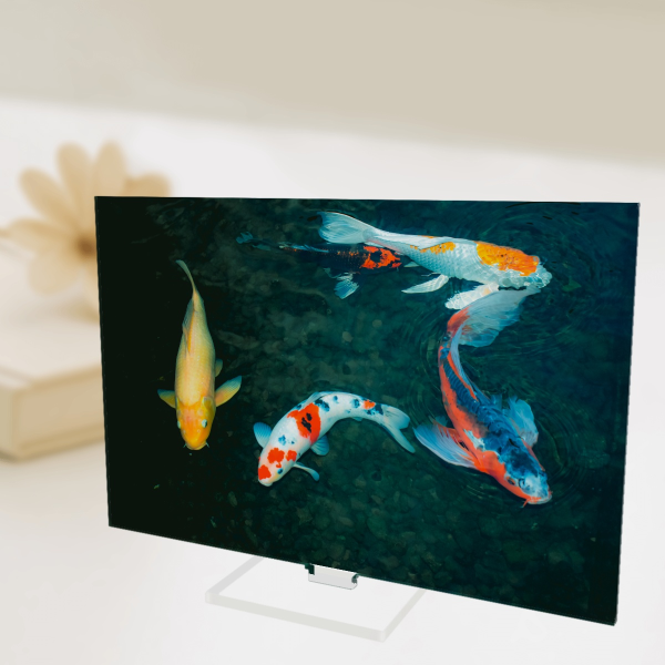 Koi Fish Photography Full Bleed Acrylic Standees