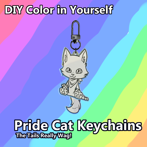 DIY Pride Cat Keychain 1