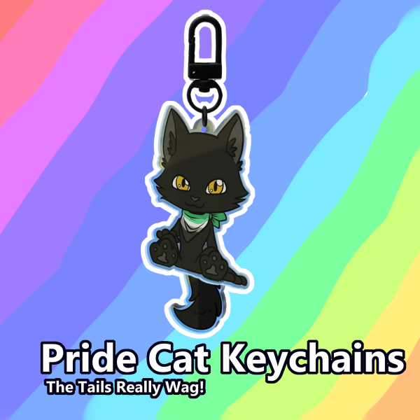 Black Cat Pride Aromantic