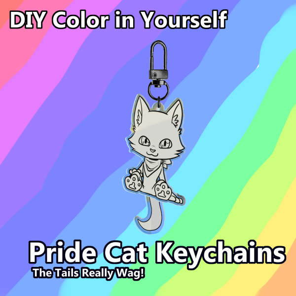 DIY Pride Cat Keychain 2