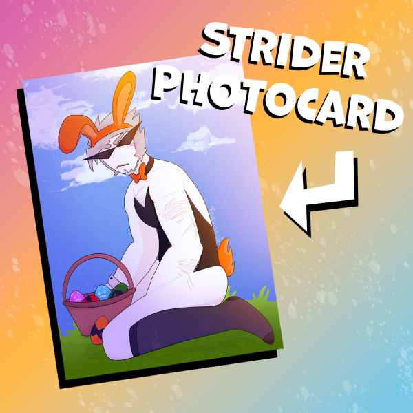 Bunny Bro Strider Photocard