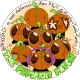.˚⊹.🎃₊˚𖦹⋆The Pumpkin Patch₊˚🕯️♱‧₊˚.