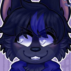 ein 