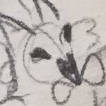 nanabbi