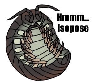 Isopod set (Sticker + Badge)