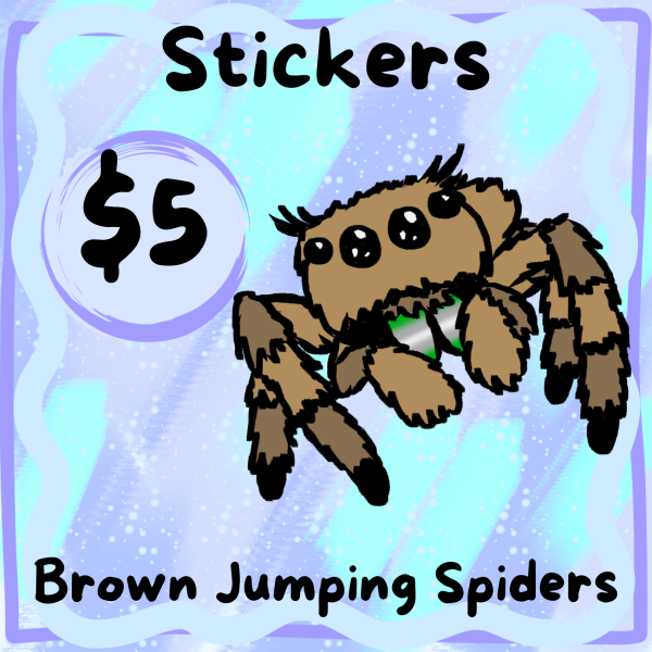 Brown Jumping Spider Grey and Green Stickers