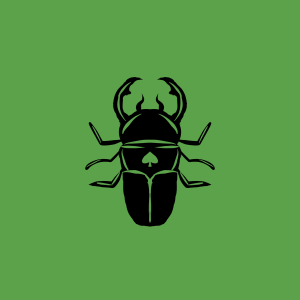 scarab