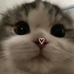 sapphicscarakomi 