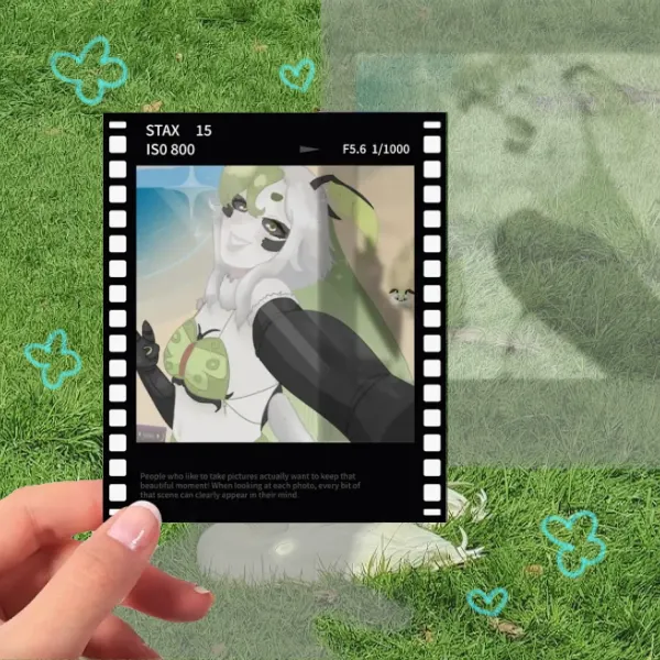 Juniper Film Polaroid Photocard