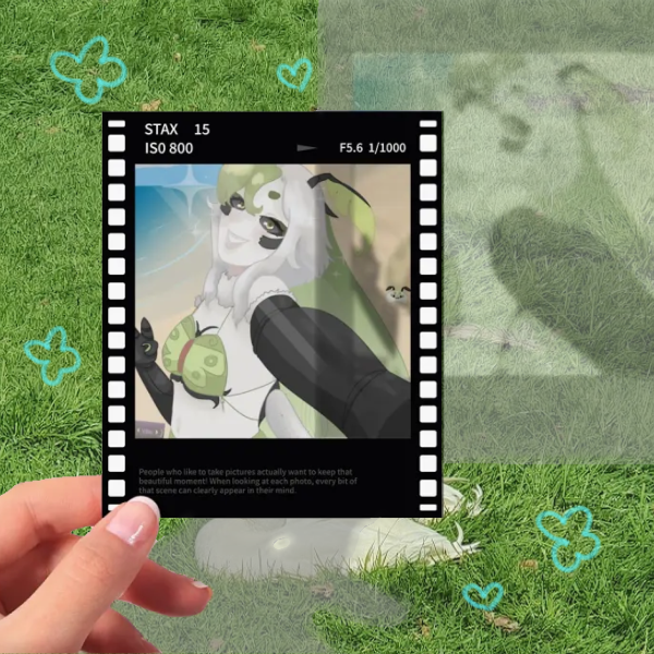 Juniper Film Polaroid Photocard