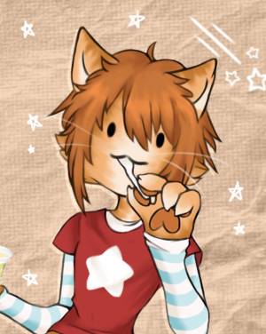 mayacatto
