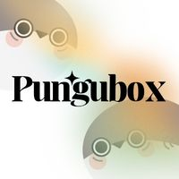 Pungubox