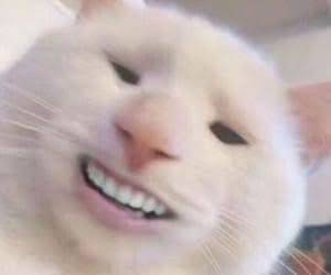 frwru
