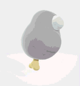 Pigeon Drumstick