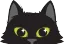 Kuro Neko!