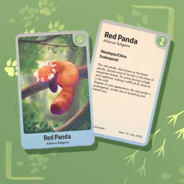 Red Panda - Photocard