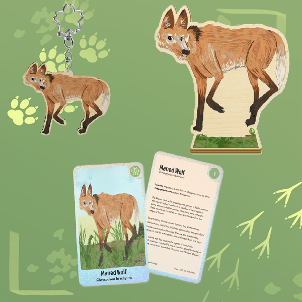 Maned Wolf Charity Bundle- Endangered Animals Collab