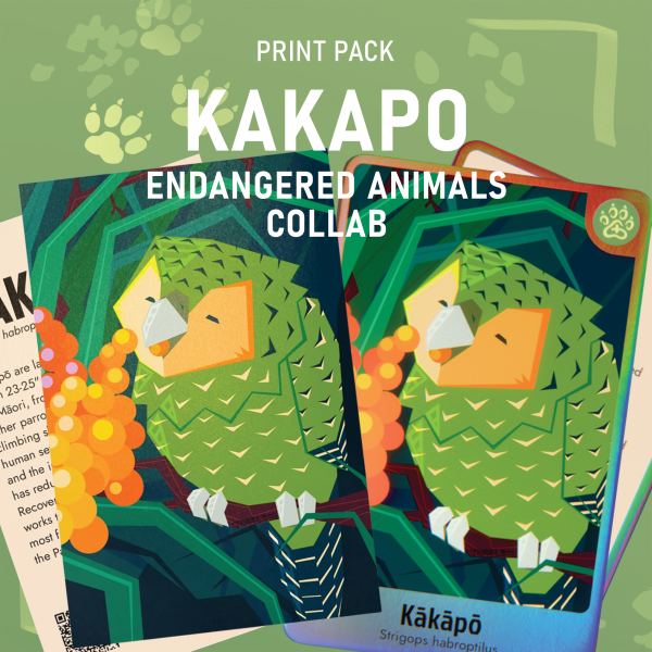 Kakapo Owl-Parrot Bird | Endangered Animals Collab | Photocard, Postcard, A3 Poster Print Bundle