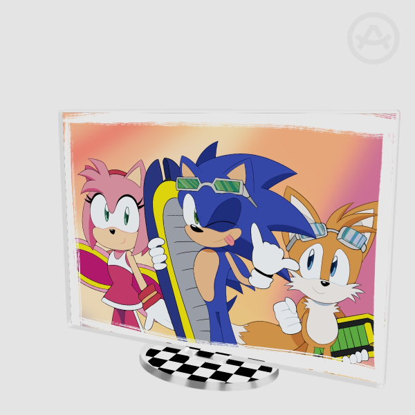 Sonic Riders Clear Acrylic Standee