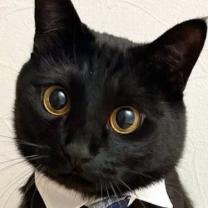 Felinou___