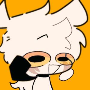 Felix 15